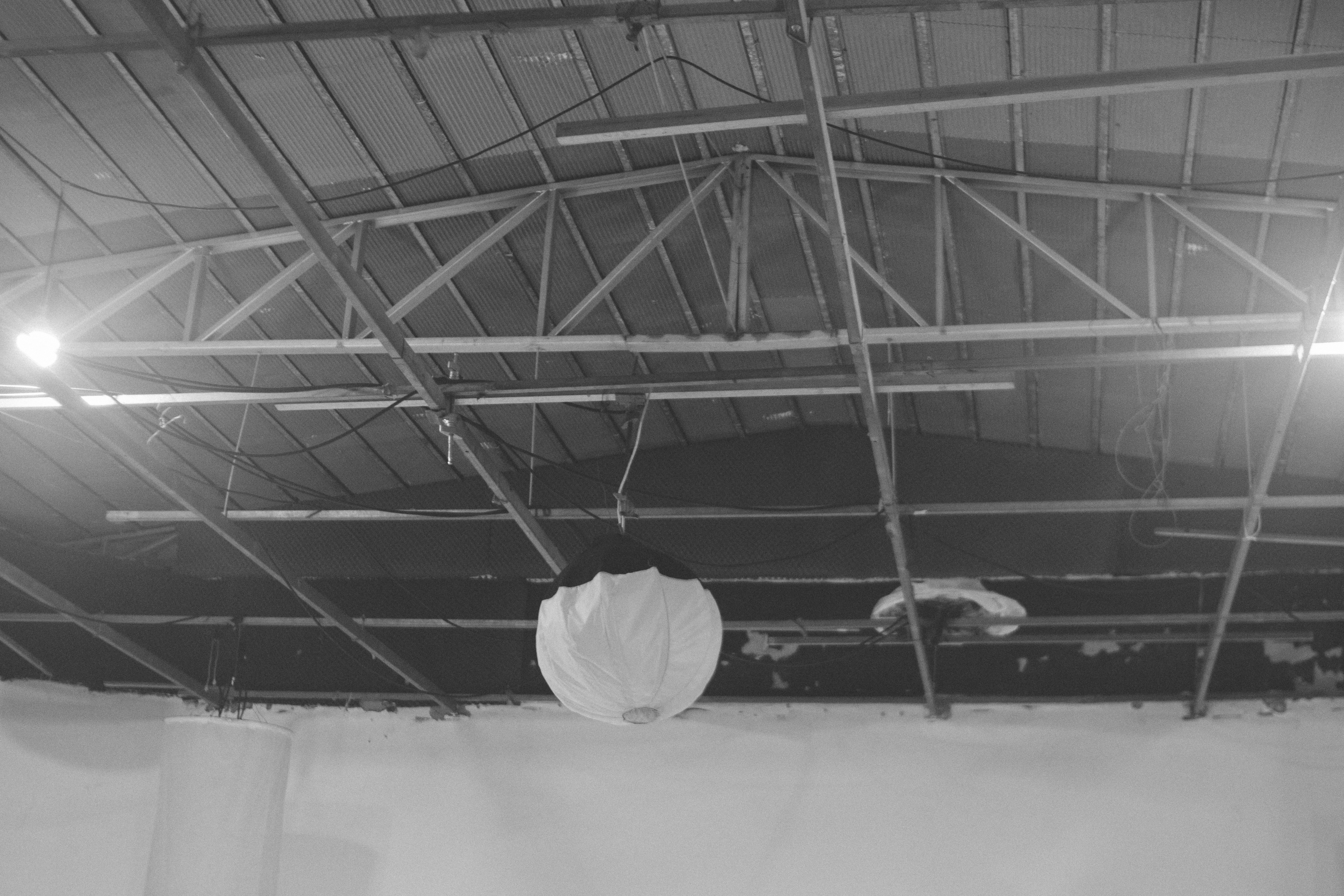 william-f-santos-3OsXEA0PIGE-unsplash